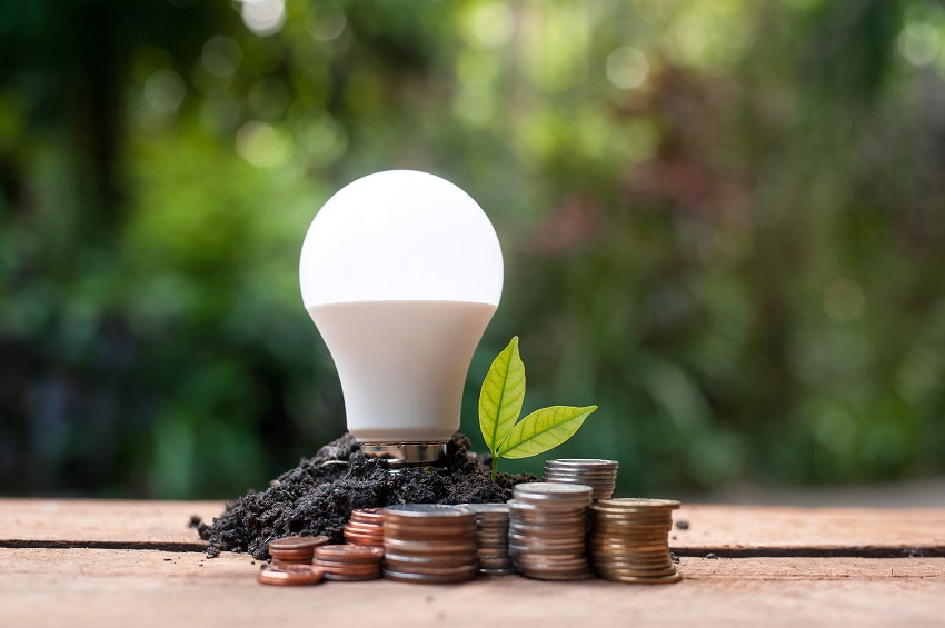 LED light bulb planted in soil with growing sprout and stacks of coins, symbolizing energy savings and financial benefits.
